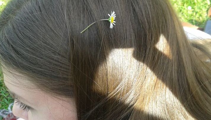 Gänseblümchen im Haar